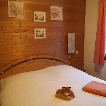 Haus Ferienglueck شقة فيلديمان